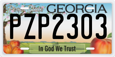 GA license plate PZP2303