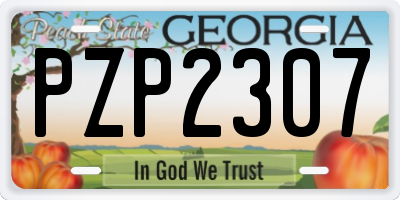 GA license plate PZP2307
