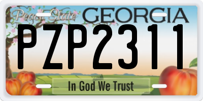 GA license plate PZP2311