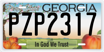 GA license plate PZP2317