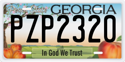 GA license plate PZP2320