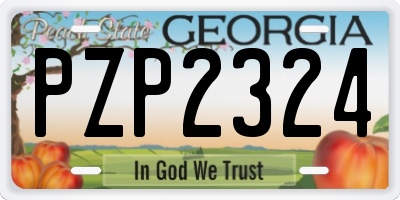 GA license plate PZP2324