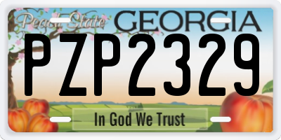 GA license plate PZP2329