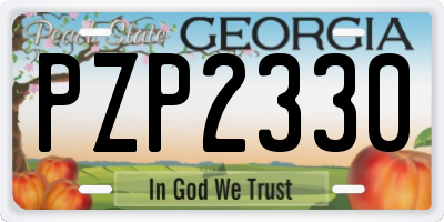 GA license plate PZP2330