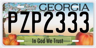 GA license plate PZP2333