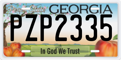 GA license plate PZP2335