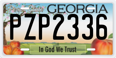 GA license plate PZP2336