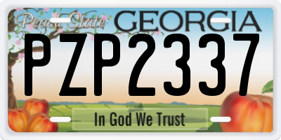 GA license plate PZP2337