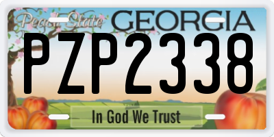 GA license plate PZP2338