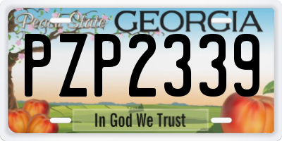 GA license plate PZP2339
