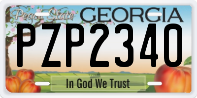 GA license plate PZP2340