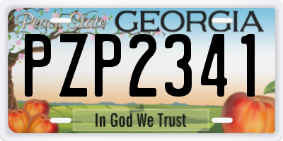 GA license plate PZP2341