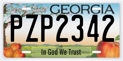 GA license plate PZP2342