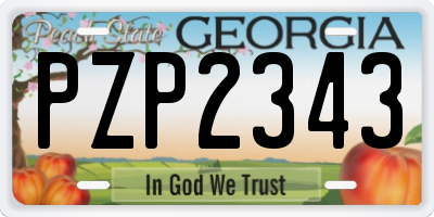 GA license plate PZP2343