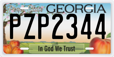 GA license plate PZP2344