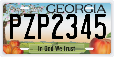 GA license plate PZP2345