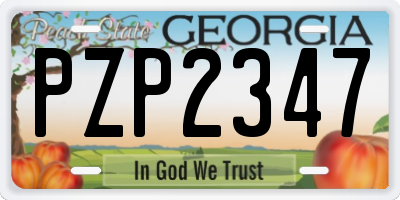 GA license plate PZP2347
