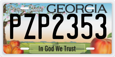 GA license plate PZP2353