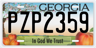 GA license plate PZP2359