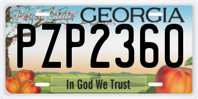GA license plate PZP2360
