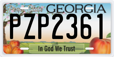GA license plate PZP2361