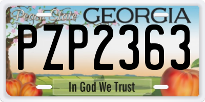 GA license plate PZP2363