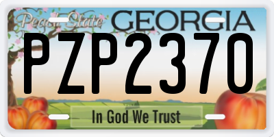 GA license plate PZP2370