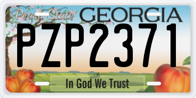GA license plate PZP2371