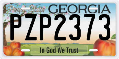 GA license plate PZP2373