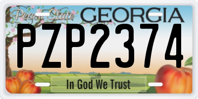GA license plate PZP2374