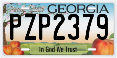 GA license plate PZP2379