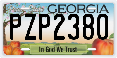 GA license plate PZP2380