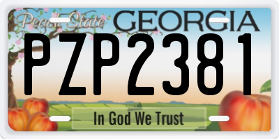 GA license plate PZP2381