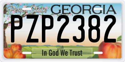 GA license plate PZP2382