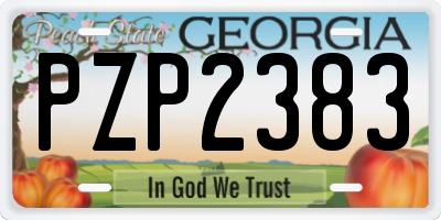 GA license plate PZP2383