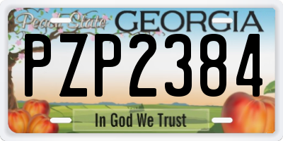 GA license plate PZP2384