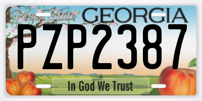 GA license plate PZP2387