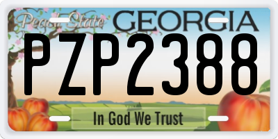 GA license plate PZP2388