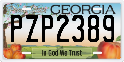 GA license plate PZP2389