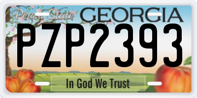 GA license plate PZP2393