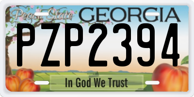 GA license plate PZP2394