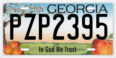 GA license plate PZP2395