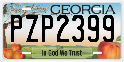 GA license plate PZP2399