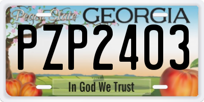 GA license plate PZP2403