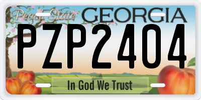 GA license plate PZP2404