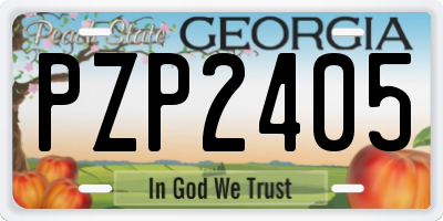 GA license plate PZP2405