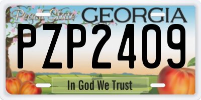 GA license plate PZP2409