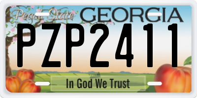 GA license plate PZP2411