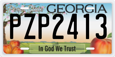 GA license plate PZP2413