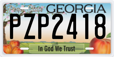 GA license plate PZP2418